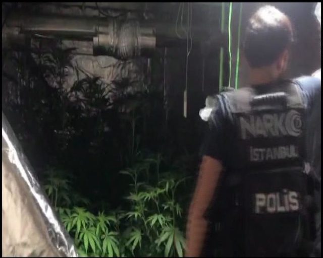 Beykoz'da villaya uyuşturucu operasyonu:1 gözaltı