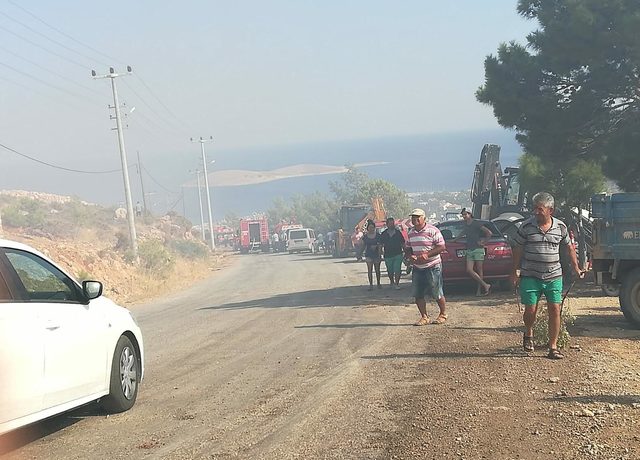 Datça'da 5 dönüm makilik alan yandı