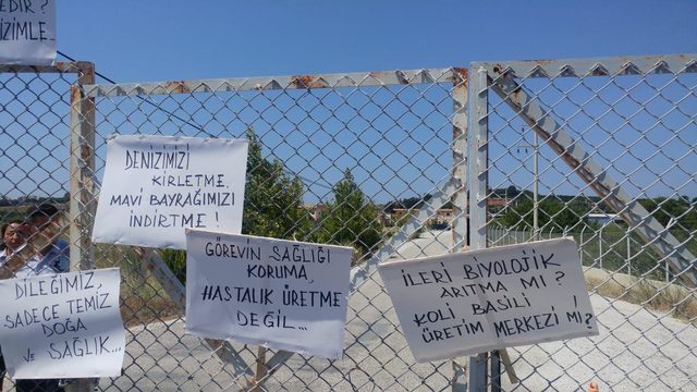 Kurumlar arasında 'Akarca Plajı' gerginliği