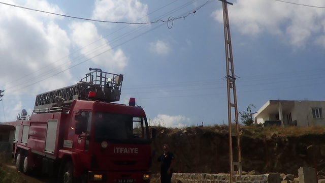 Elektrik tellerine takılan yavru kırlangıcı itfaiye kurtardı
