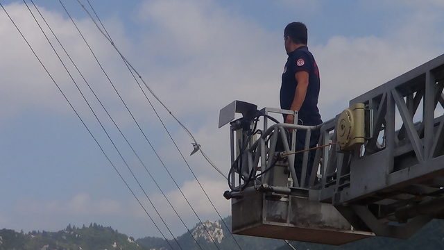 Elektrik tellerine takılan yavru kırlangıcı itfaiye kurtardı