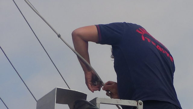 Elektrik tellerine takılan yavru kırlangıcı itfaiye kurtardı