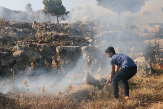 Adıyaman'da ormanlık alanda yangın