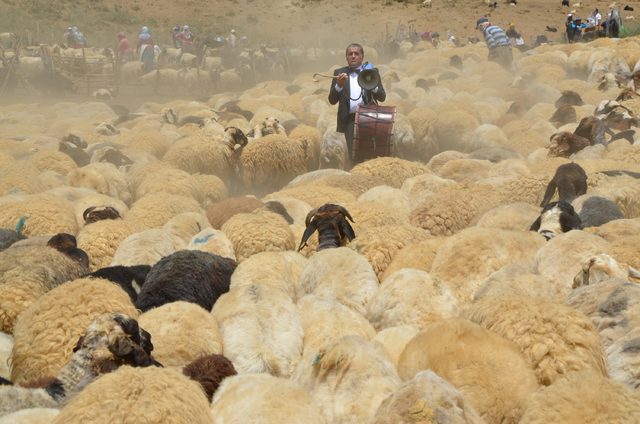 Hakkari'de sıradışı düğün