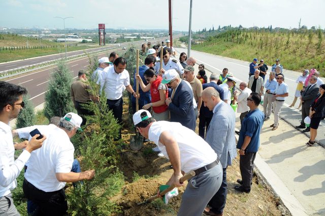Yalova'da '15 Temmuz Şehitleri Hatıra Ormanı' oluşturuldu