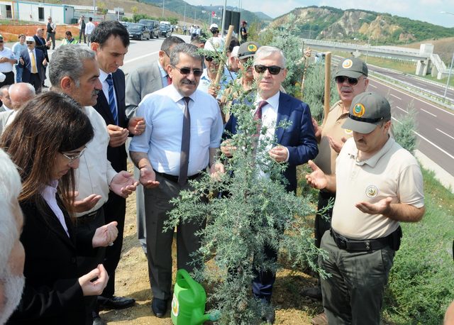 Yalova'da '15 Temmuz Şehitleri Hatıra Ormanı' oluşturuldu