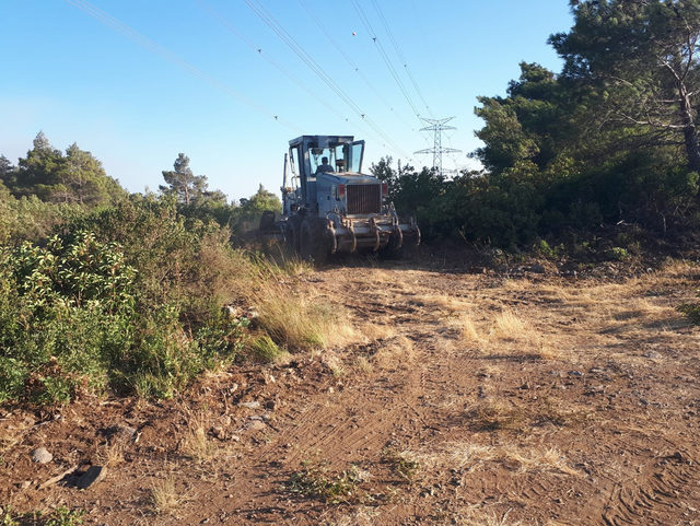 Hatay’da orman yangını (3)