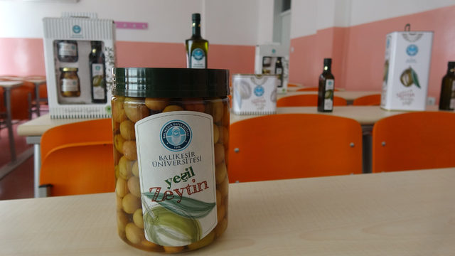 Zeytin üreticilerine akademik eğitim