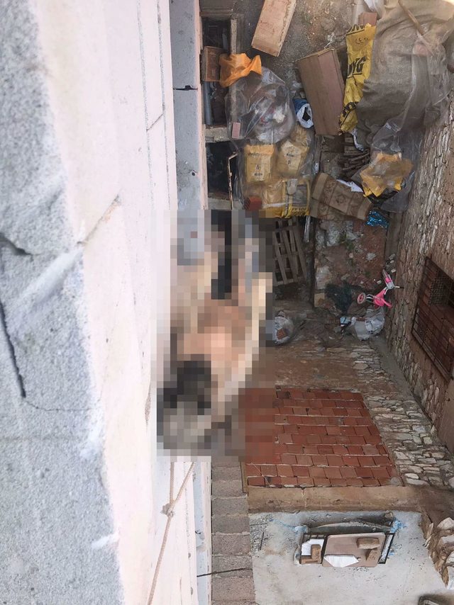 Böyle vicdansızlık görülmedi, yavru köpeği asarak öldürdüler