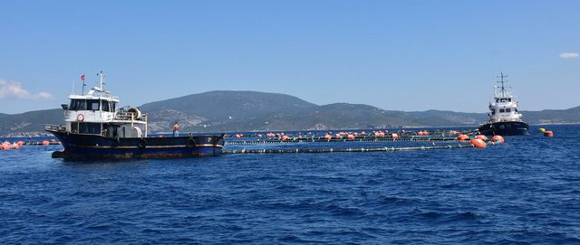 Sığacık'ta orkinos çiftliği zaferi