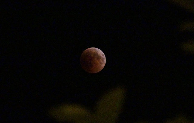 Mersin'de 'Kanlı Ay Tutulması' izlendi Son Dakika Haberler
