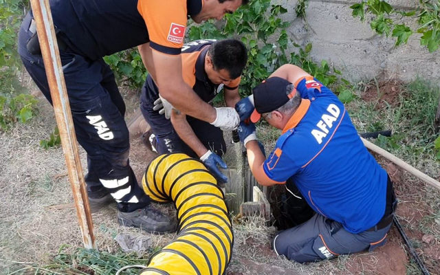 Kuyuya düşen kedi için seferber olundu
