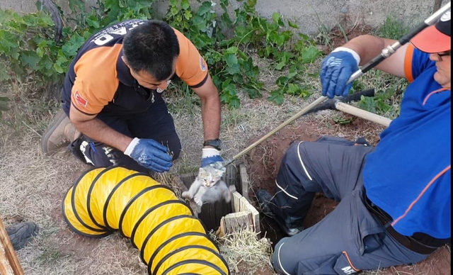Kuyuya düşen kedi için seferber olundu
