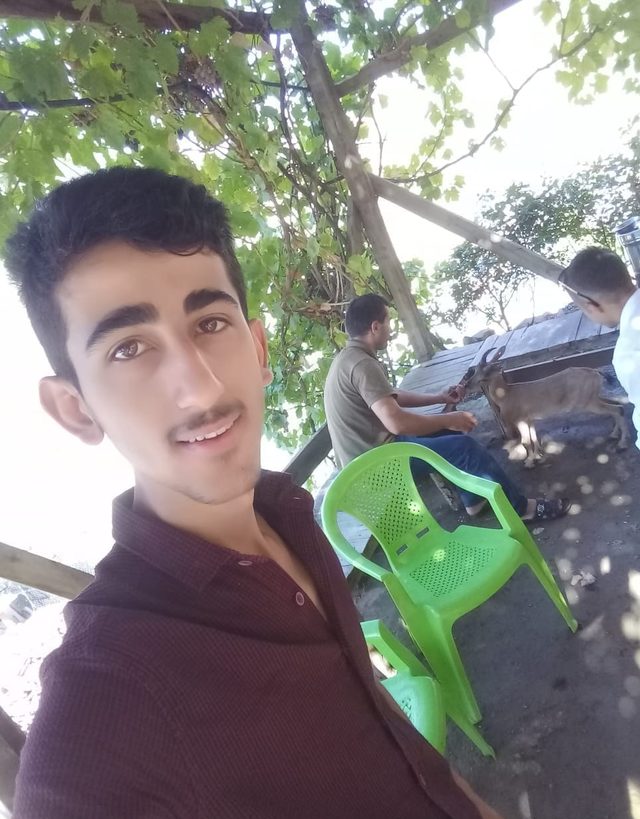 Çukurca'da dağ keçileri, köye indi