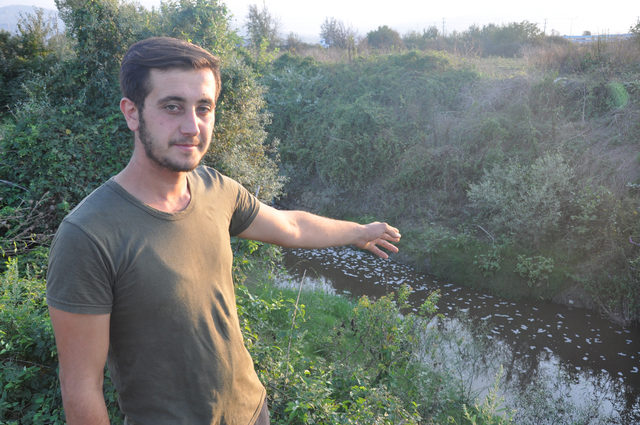 Bursada bir derede daha toplu balık ölümü Bursada bir derede daha toplu balık ölümü