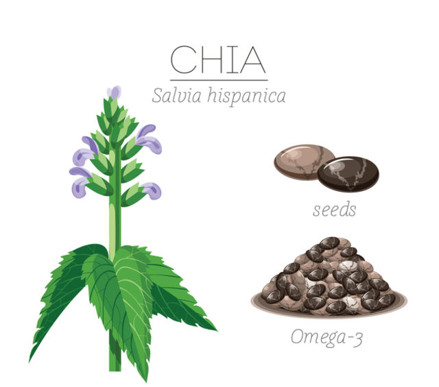 chia-tohumu-faydalari